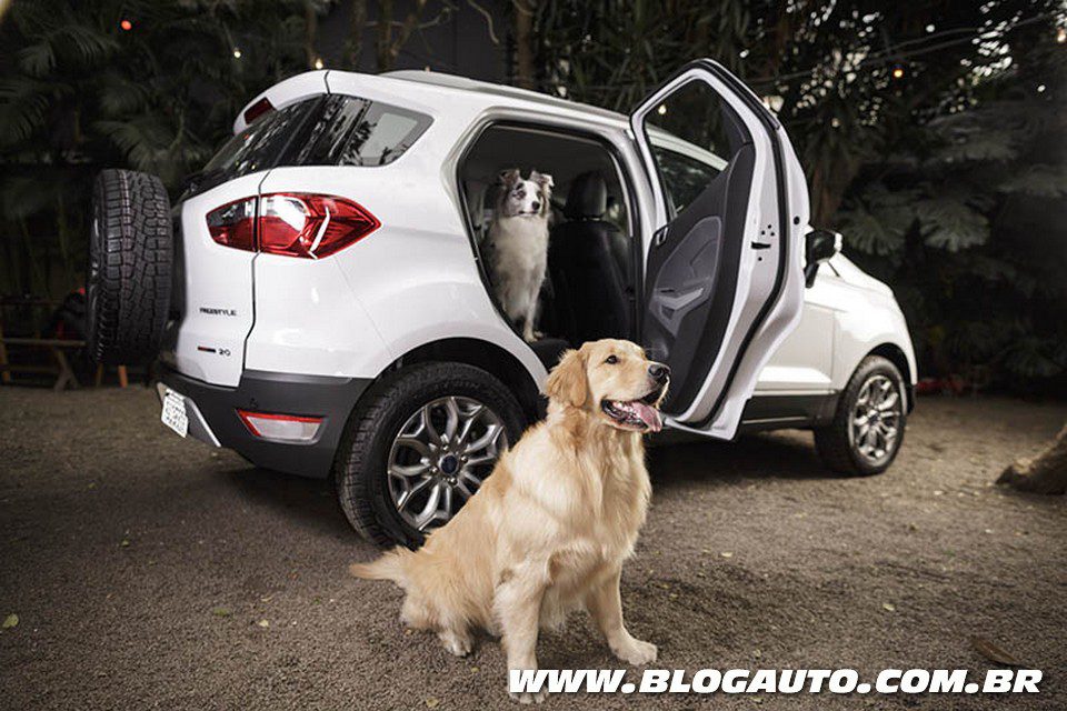 Ford mostra como transportar cães no carro
