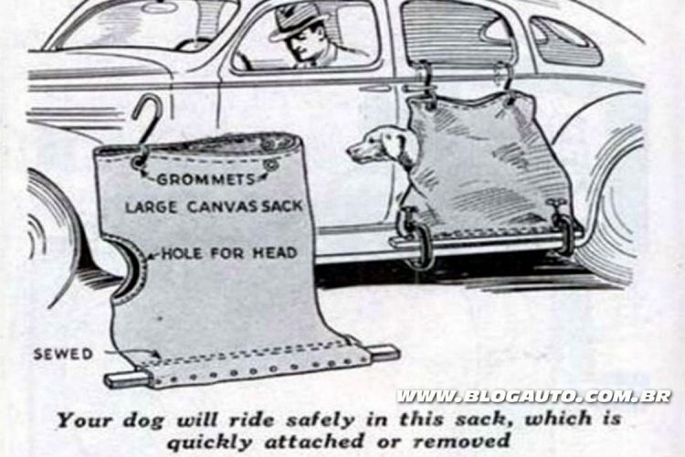 Bolsa para transporte de cachorro