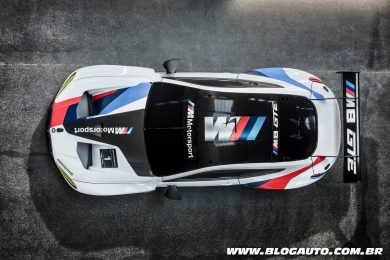 BMW M8 GTE Racecar